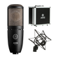Micrófono Akg P220